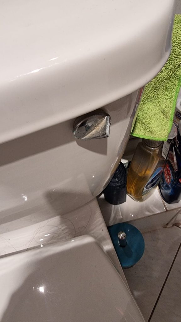 Efficient plumbers toilet flush repair
