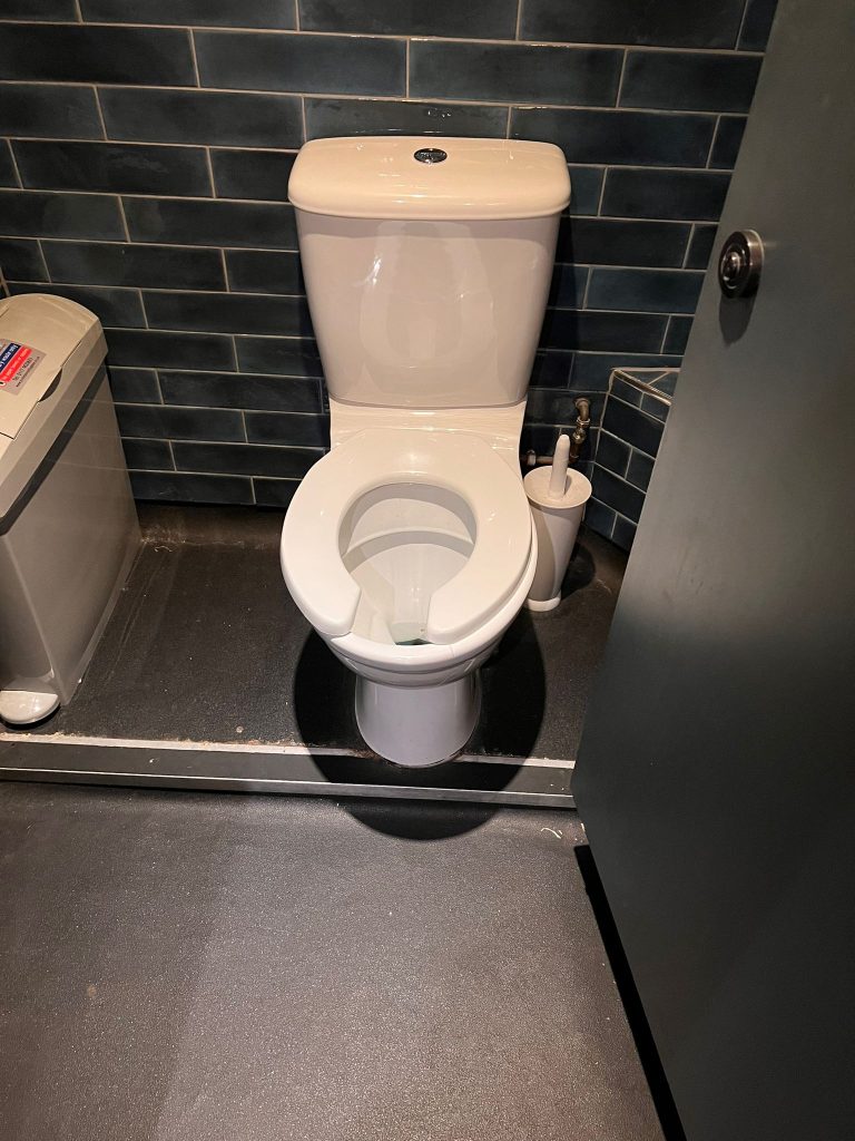 Cheap plumber toilet unblocking